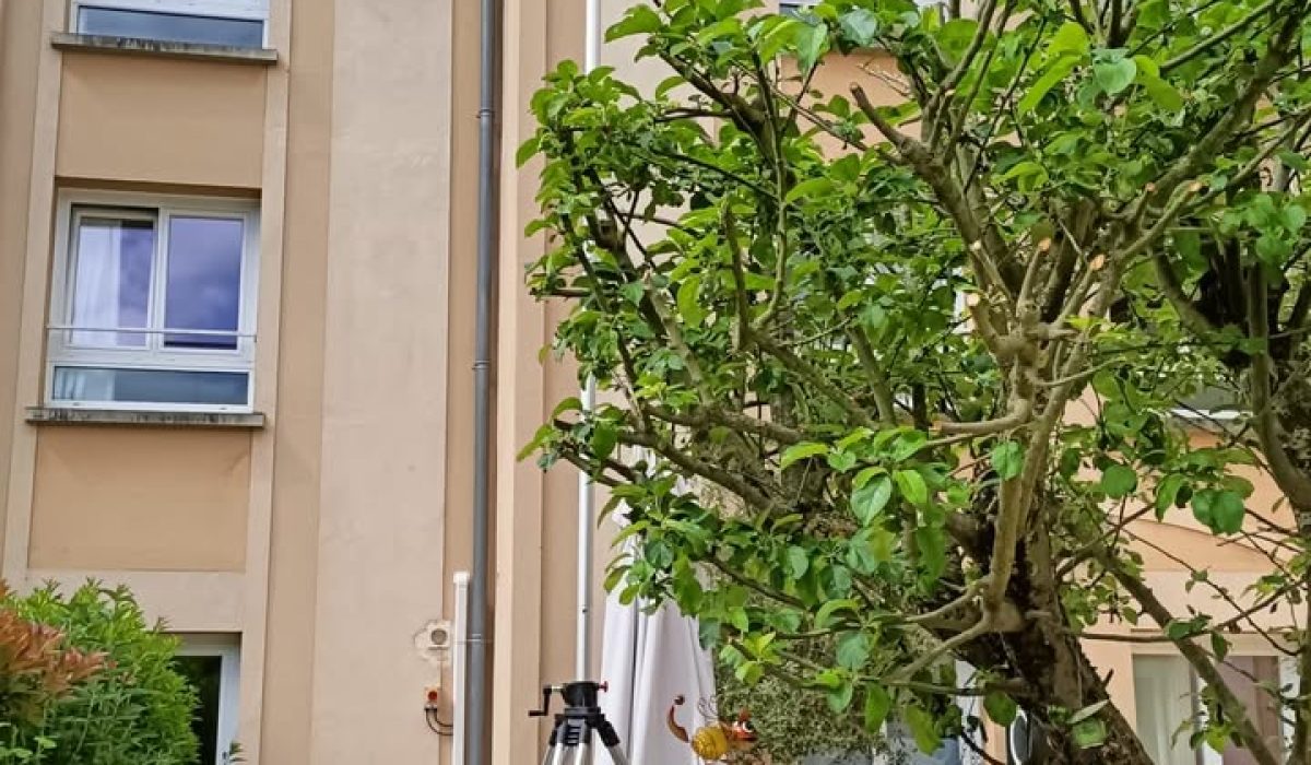 496058520_1291085329691960_659387310399939819_n